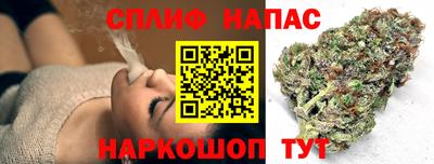 гидра Заводоуковск