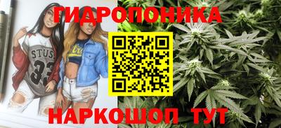 гидра Заводоуковск