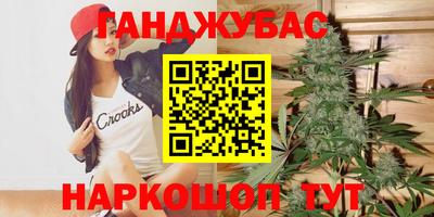 гидра Заводоуковск