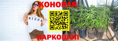 гидра Заводоуковск