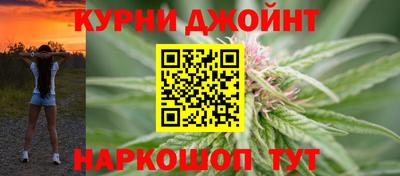 гидра Заводоуковск
