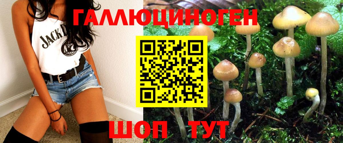 Псилоцибиновые грибы Magic Shrooms  Вход с VPN  как найти закладки  Орск 