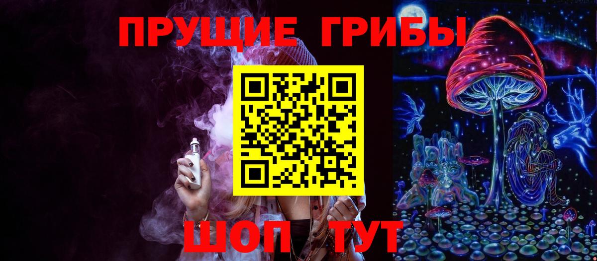 Псилоцибиновые грибы Cubensis Орск